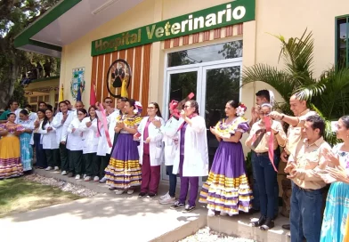 hospital veterinario, Nicaragua, gobierno de nicaragua, universidad agraria, managua,