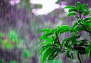 nicaragua, lluvias, clima, ineter, altas temperaturas, Nicaragua, ineter,