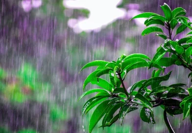 nicaragua, lluvias, clima, ineter, altas temperaturas, Nicaragua, ineter,