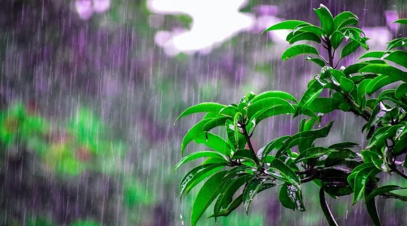 nicaragua, lluvias, clima, ineter, altas temperaturas, Nicaragua, ineter,