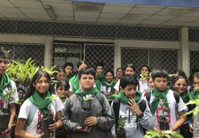 nicaragua, escuelas verdes, conciencia ecologica