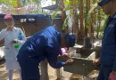 nicaragua, ejercito de nicaragua, jornada de abatizacion,