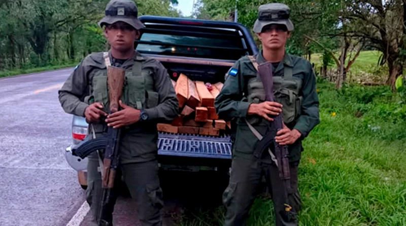 nicaragua, ejercito, tala ilegal, madera,