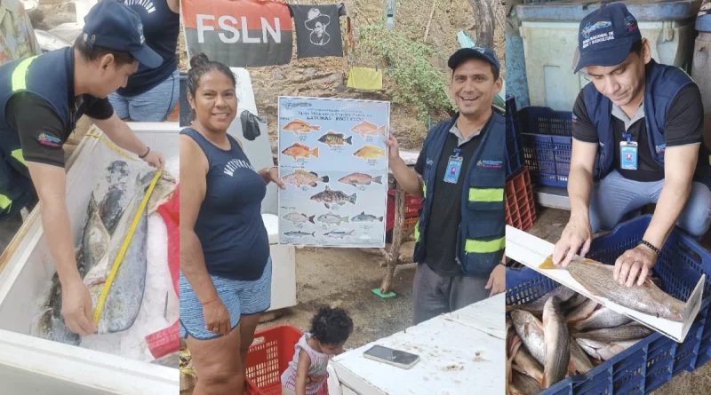 inpesca, nicaragua, pesqueros, carazo, rivas,