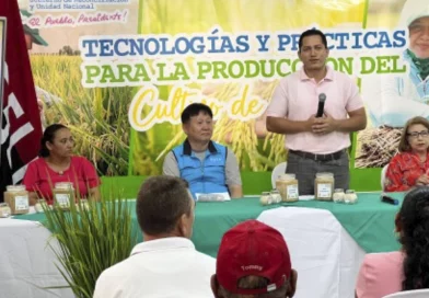 foro internacional, nicaragua, inta, arroz, clima, matagalpa,