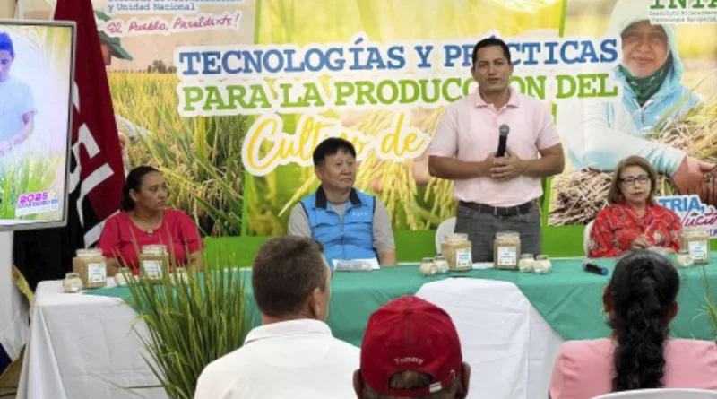 foro internacional, nicaragua, inta, arroz, clima, matagalpa,