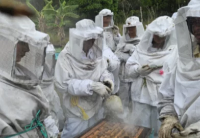 inda, nicaragua, técnicas de alimentación,