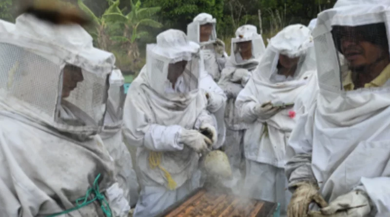 inda, nicaragua, técnicas de alimentación,