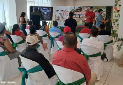 inda, productores, nicragua, gobierno de Nicaragua, cambios climáticos,