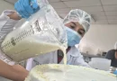 inda, nicaraGUa, gobierno de nicaraGUa, inta,