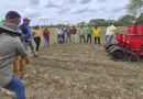 carazo, frijol, inta, nicaragua, productores,