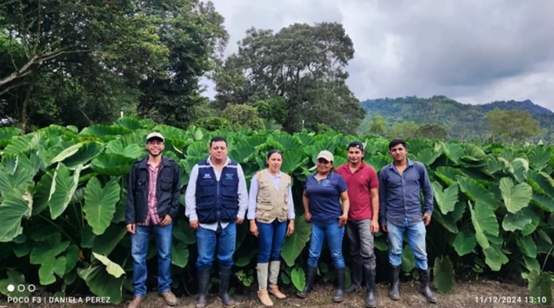 ipsa, sanidad vegetal, prevencion de plagas, nicaragua,