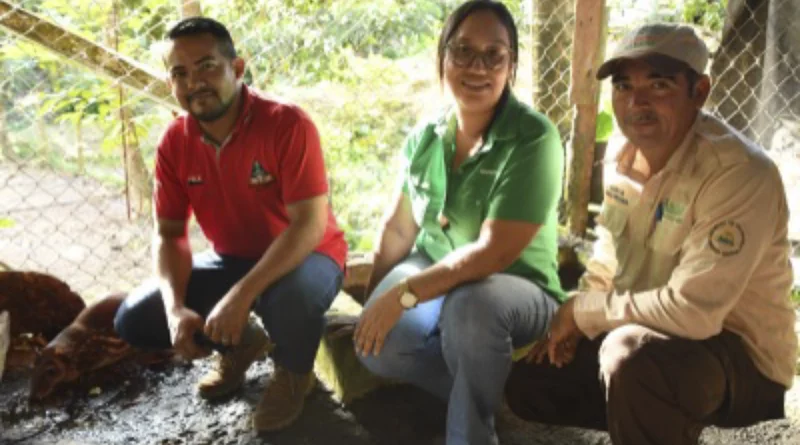 marena, nicaragua, costa caribe, emprendimiento, zoocriaderos, el rama,