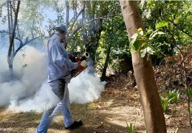 minsa, nicaragua, jornada de fumigación