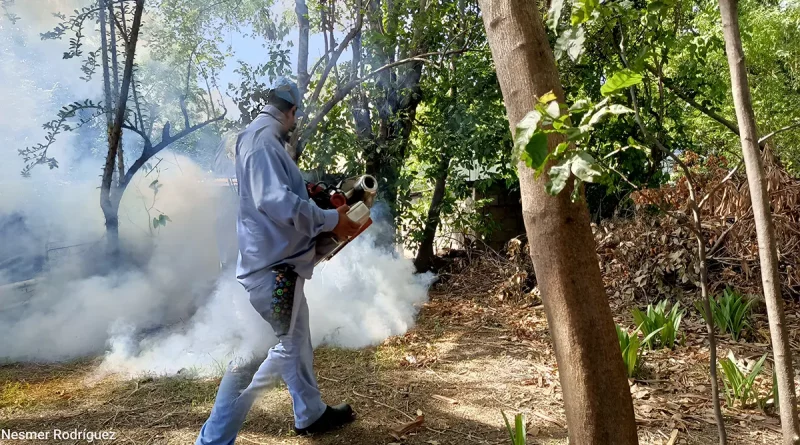 minsa, nicaragua, jornada de fumigación