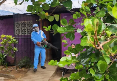 minsa, nicaragua, managua, jornada de fumigacion,