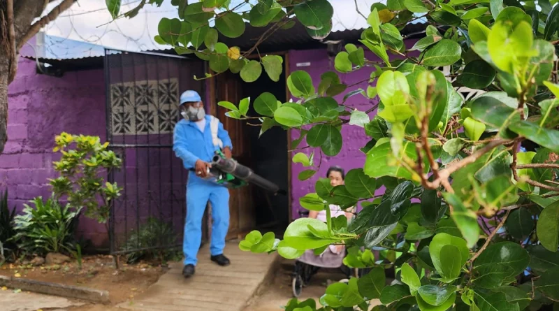 minsa, nicaragua, managua, jornada de fumigacion,