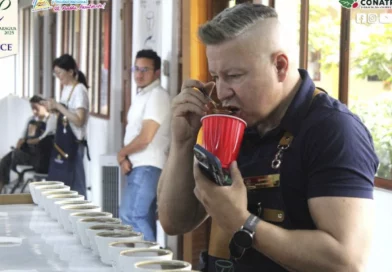 nicaragua, café, taza de excelencia, conatredec,