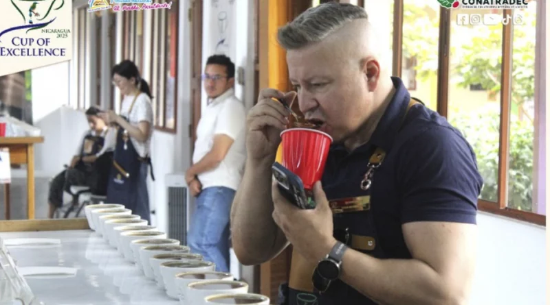 nicaragua, café, taza de excelencia, conatredec,