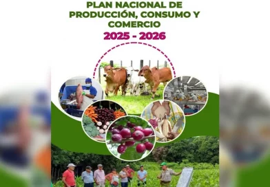 Vicaragua, Plan Nacional de Producción 2025, Ovidio Reyes, desarrollo, productividad,