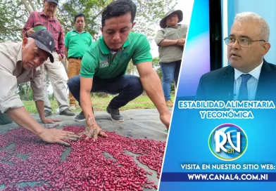 Nicaragua, producción, estabilidad, economica, seguridad alimentaria, estabilidad alimentaria, Plan de producción 2025-2026, Ovidio Reyes, presidente del BCN,