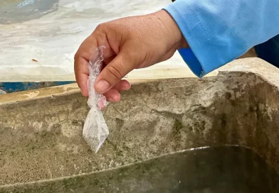 MINSA, Marvin Marín, barrio, Managua, prevención del dengue, recorre, viviendas, casas, hogares, fumigación, abate,