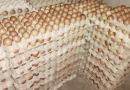 produccion de huevo, nicaragua, ministerio agropecuario, economia,