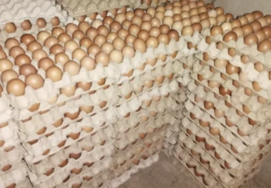 produccion de huevo, nicaragua, ministerio agropecuario, economia,