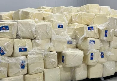 producción de queso, cuajada, Nicaragua, gobierno de nicarahia,