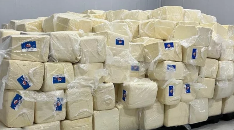 producción de queso, cuajada, Nicaragua, gobierno de nicarahia,