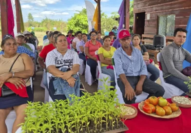 nicaragua, león, productores, cultivos
