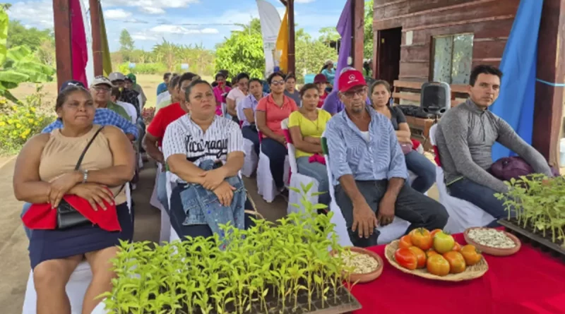 nicaragua, león, productores, cultivos