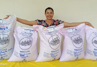 productores, nicaragüa, gobierno denicaragua, inta, produccion,