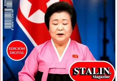 opinión, articulo de opinión, corea,