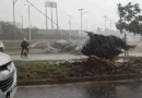 Paraguay, temporal lluvia, vientos, destrozos, causa,