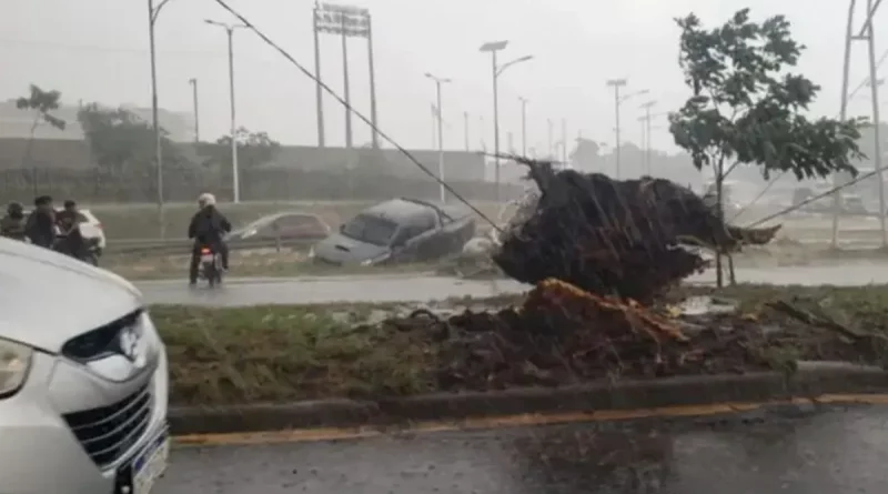 Paraguay, temporal lluvia, vientos, destrozos, causa,