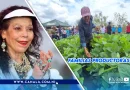 Nicaragua, producción, Plan Nacional de producción 2025-2026, cultura campesina, laboriosa, trabajadora, familias productoras,
