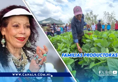 Nicaragua, producción, Plan Nacional de producción 2025-2026, cultura campesina, laboriosa, trabajadora, familias productoras,