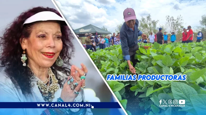 Nicaragua, producción, Plan Nacional de producción 2025-2026, cultura campesina, laboriosa, trabajadora, familias productoras,