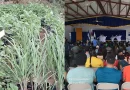 vivero guardabarranco, UNICIT, inaugura, universidad,