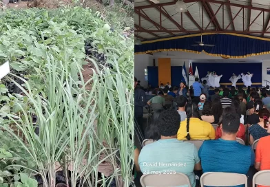 vivero guardabarranco, UNICIT, inaugura, universidad,