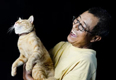 animales, gato, IA, Inteligencia Artificial, reconocer sonidos, tecnología, patente, Chino Baidu, China,