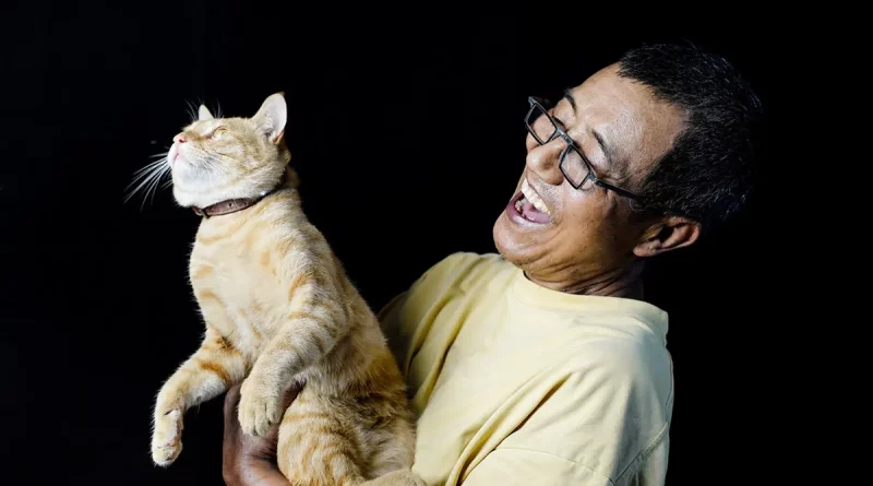 animales, gato, IA, Inteligencia Artificial, reconocer sonidos, tecnología, patente, Chino Baidu, China,