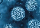 Nicaragua, Malaria, Neumonía, Dengue, casos, aumento, junio,