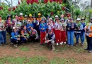 reforestación, ENACAL, Nicaragua, Verde que te quiero verde,