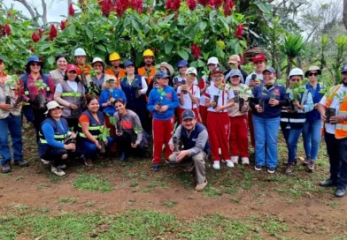 reforestación, ENACAL, Nicaragua, Verde que te quiero verde,
