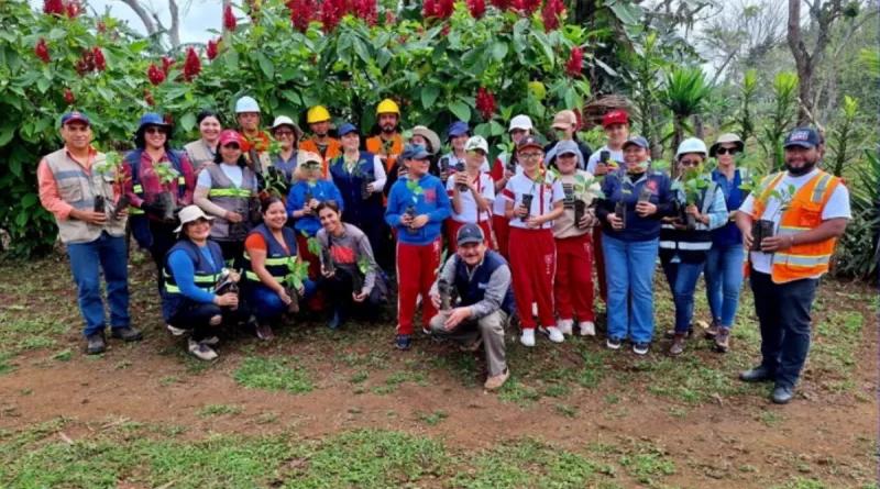 reforestación, ENACAL, Nicaragua, Verde que te quiero verde,