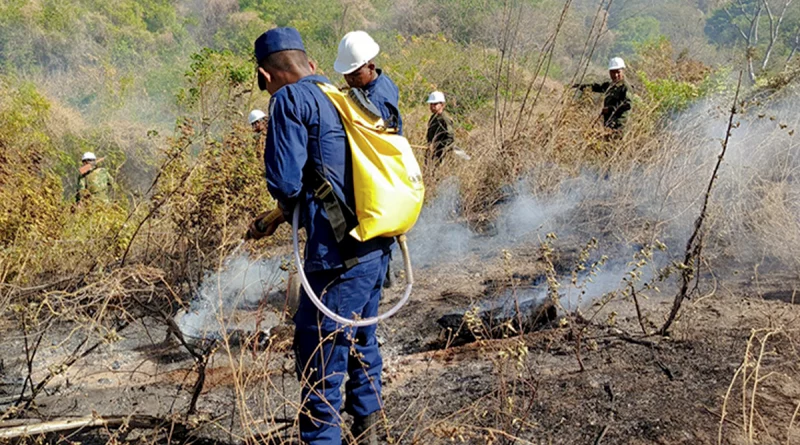 nicaragua, ejercito de nicaragua, incendio forestal,