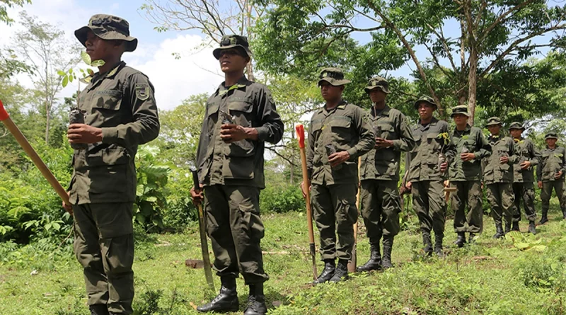 nicaragua, costa caribe, jornada de reforestacion, siuna,