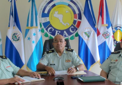 ejercito de nicaragua, taller, reunion, plantaciones forestales,